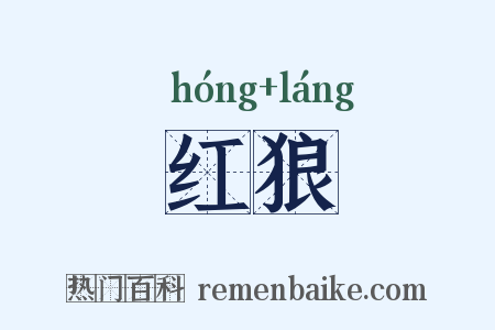 红狼是什么意思的图片